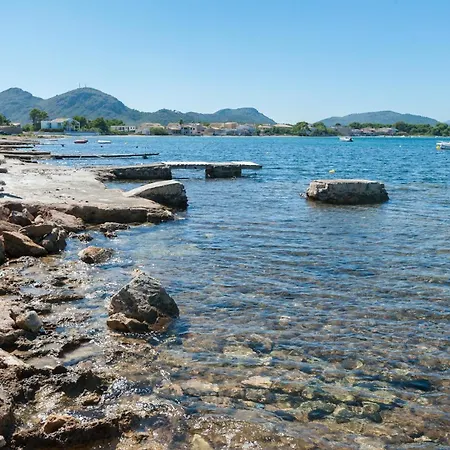 Tarida *